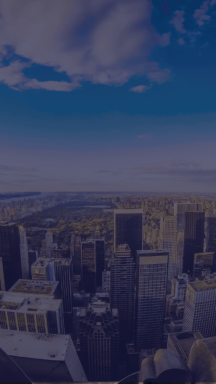 Digital Marketing and SEO Services by NovaSeeks LLC