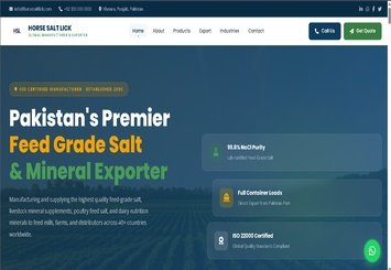 Horse Salt Lick website homepage showcasing feed-grade salt and mineral export products from Pakistan